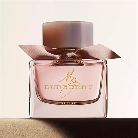 burberry for woman smell|original burberry perfume for women.